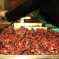 Paris: Guided Chocolate Tasting Tour — gallery 2