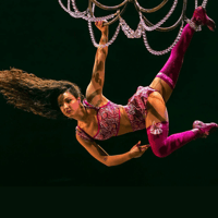 Cirque du Soleil: Corteo — gallery 2