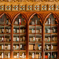 Livraria Lello Library Tickets — gallery 4