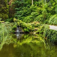 Pena Park in Sintra: Entry Ticket, Lisbon, photo 4
