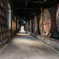 Porto Wine Tasting: Burmester Wine Cellars