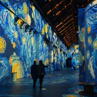 AMAZE Immersive Experience + Fabrique des Lumieres — gallery 4