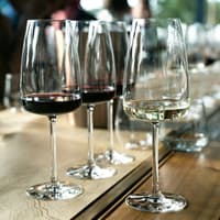 Lisbon: Guided Wine Tasting Experience