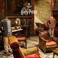 Harry Potter Warner Bros. Studio London: Entry + Train Transfer — gallery 5
