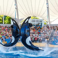 Loro Parque Entry Tickets — gallery 5