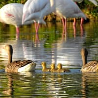 Cañada de los Pájaros Bird Reserve