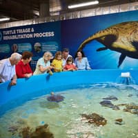 Cairns Aquarium & Tomb of the Pharaohs: Entry Ticket — gallery 2