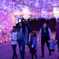 ZooTampa: Christmas in the Wild — gallery 2