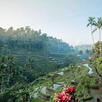 Bali Instagram Tour — gallery 1
