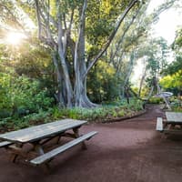 Rippon Lea Estate: Gardens Entry Ticket + Souvenir