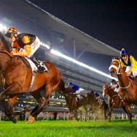 Meydan Races