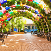 Dubai Butterfly Garden Skip-the-Line Tickets — gallery 2