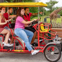 Billetter til Zoo Miami: Grupper på 4 og flere, Zoo Miami, Miami