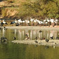Cañada de los Pájaros Bird Reserve