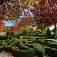 Enchanted Adventure: 1-Day General Admission Ticket