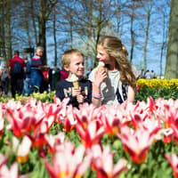 Keukenhof: Entry + Roundtrip Bus Transfer from A’dam Tower