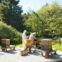VanDusen Botanical Garden: Entry Ticket — gallery 1