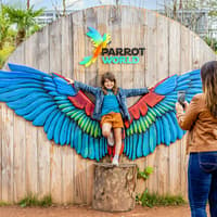 Parrot World: Day Ticket