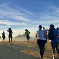 Los Angeles: Griffith Observatory and Hollywood Hills Hike Walking Tour — gallery 3