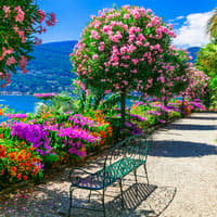 Lake Maggiore: Daytrip from Milan
