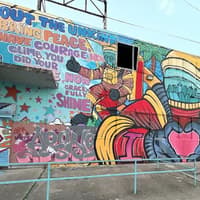 Houston: Guided City Driving Tour — gallery 2