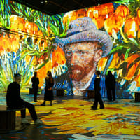 AMAZE Immersive Experience + Fabrique des Lumieres — gallery 3
