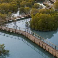Jubail Mangrove Park: Boardwalk Experience Tour