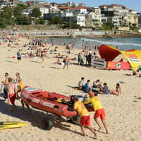 Sydney: Sightseeing Bus Tour