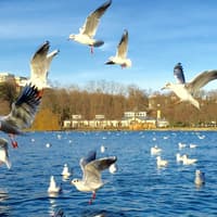 Hamburg Bike Tour: Outer Alster Lake