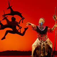 Performer in vibrant costume on stage during The Lion King musical