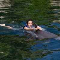Delphinus Xcaret: Entry Ticket + Transfers + Swim with Dolphins