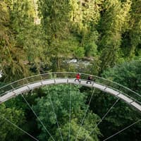 Capilano Suspension Bridge Park: Entry Ticket — gallery 4