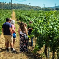 Montserrat: Small Group Tour from Barcelona with Organic Wine Tasting — gallery 2