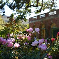 Filoli Summer Nights Admission