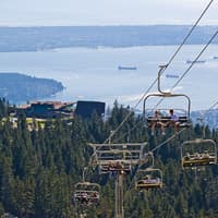 Grouse Mountain & Capilano Suspension Bridge Park: Guided Tour — gallery 1