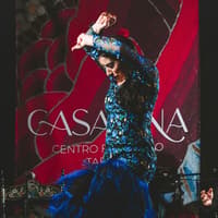 Casa Ana Flamenco Show — gallery 2