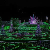 Budapest: Lumina Light Park Wonderworld Entry Tickets