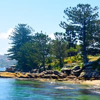 Sydney Harbour Sightseeing Cruise — gallery 3