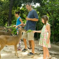 Croco Cun Zoo: Fast Track Ticket