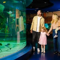 Penguin Passport Tickets: Guided Encounter at SEA LIFE Melbourne Aquarium — gallery 3