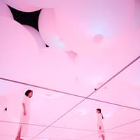 teamLab Planets Skip-the-Line Tickets [Premium Pass] — gallery 2