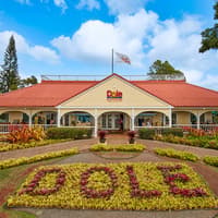 Haleiwa & Dole Plantation Express Half-Day Tour — gallery 1