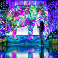 E・ZO FUKUOKA teamLab Forest Tickets — gallery 1