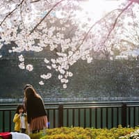 Osaka Castle: Guided Walking Tour — gallery 2