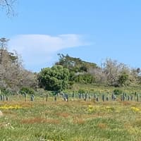 Robben Island and Table Mountain Full Day Tour — gallery 3