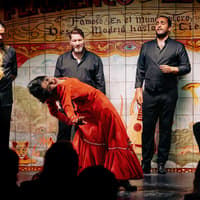 Flamenco De Leones - Flamenco Show — gallery 2