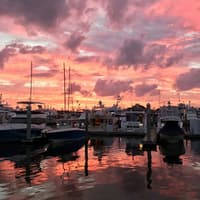 Fort Lauderdale: Jungle Queen Sightseeing Cruise