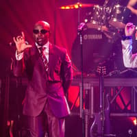 Las Vegas: Purple Reign
