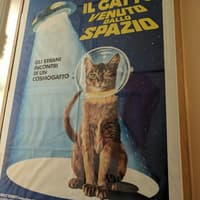 The Cat Cabinet: Entry Ticket — gallery 1