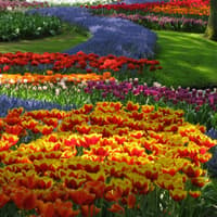 Keukenhof: Entry Ticket — gallery 1